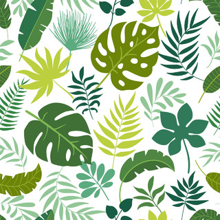 热带夏天植物卡通树叶底纹PNG免抠素材